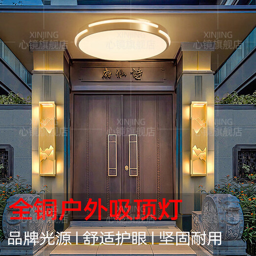 心镜全铜吸顶灯走廊过道专用超薄阳台灯户外防水别墅防蚊虫入户门前灯 X3890-410