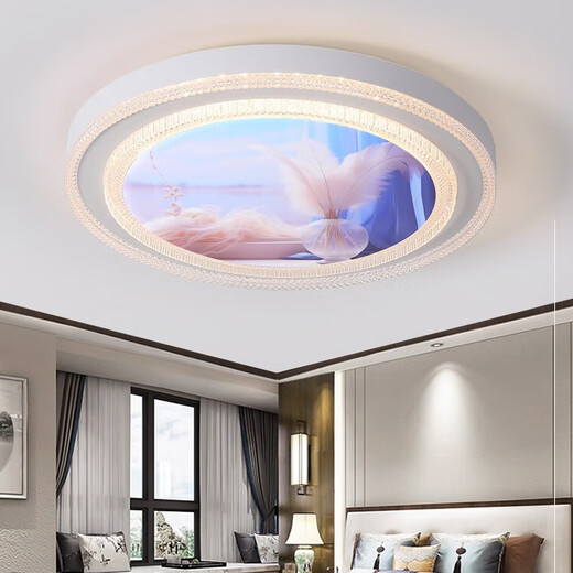 Jihuo Lampe de Chambre Nouvelle Célébrité Internet LED Plafonnier Lampe de Chambre Ronde Lampe de Chambre Principale Moderne Simple Restaurant Lampe d'étude Xiaolu Diamètre 50CM Trois Couleurs 36 Watts