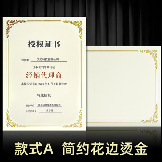 DSB（迪士比）企业定制荣誉证书内芯10张免费排版打印 简约花边A4烫金奖状纸聘书授权培训结业空白内芯 6627	