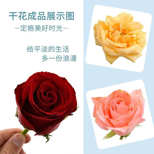 HaLODN [On the same day/next day] Flower desiccant handmade DIY dried flower desiccant immortal flower specimen dry sand Flower desiccant 1Jin [Jin equals 0.5 kg] Set [dry box + sand-drying spoon + small brush]