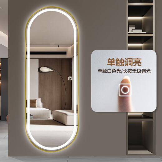Babuqi Aluminiumlegierung Smart Dressing Spiegel LED Ganzkörperspiegel mit Wandlampenwand hängender Spiegel Hanging Wand Home Schlafzimmer Anpassungsspiegel Single Touch weiße Helligkeitsklingel-Einklappermodell Gold gebürstetem Draht 400*1200mm