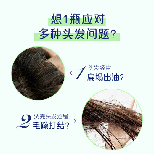 Le shampooing Flush and Fluffy enlève à l'huile pour les hommes et les femmes Soins quotidiens pour la maison Green Tea Essence Shampooing Cream 1kg