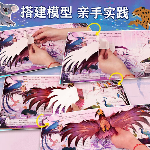小红花指尖上的博物馆：神奇的动物动物进化儿童读物自然趣味科普认知立体机关书玩具书动物人类恐龙