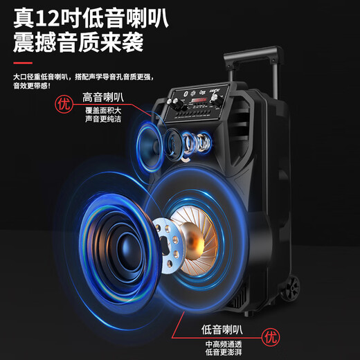 Newman N509 Square Dance Audio Mobile Home Outdoor Karaoke Bluetooth Speaker Trolley Portable Heavy Bass Large Volume Super Long Life Dual Microphone 15 Inch