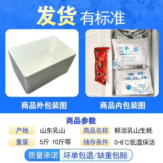 Popular Rushan Oysters, Fresh Oysters, Extra Large Seafood Oysters, 5 Jin Jin is equal to 0.5 kg, whole box of fresh oysters, 4 Jin Jin is equal to 0.5 kg, 3XL size, 10-16 pcs