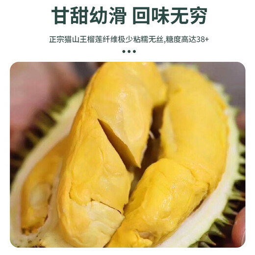 Fruit Bao Expert Malaysian Musang King Frozen Durian Pulp 400g Liquid Nitrogen Frozen Fresh D197 Durian Meat Musang King Pulp 800g (Two boxes of Musang King)
