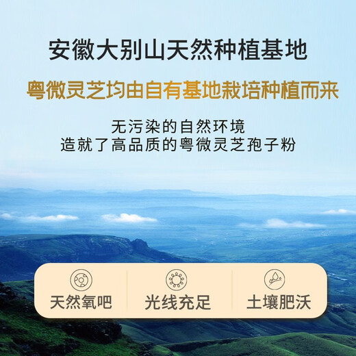 粤微牌破壁灵芝孢子粉提取物胶囊 中老年保健品送礼提高免疫力三萜 90粒*12盒【囤货更划算】