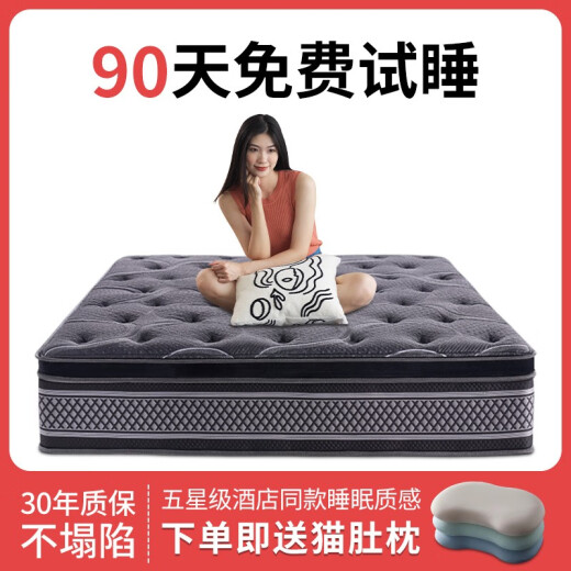 
Haima Ziyue Home Five-star Top Ten Hotels 5cm Latex Super Soft 30cm Thickened Spring Brand Memory Foam Mattress 1.8x2m Model A (more hard and thick 23CM) 1350mm*2000mm