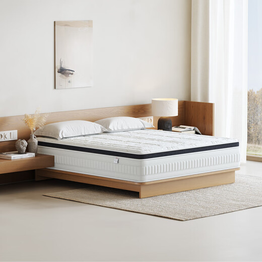 AISU Coconut Brown Mattress High Hard Ridge Protection Mat 1.8x2m Medio de edad y ancianos Simmons Spring Mattress 1.5x2m Shuqing Six Type 26cm 1350*2000