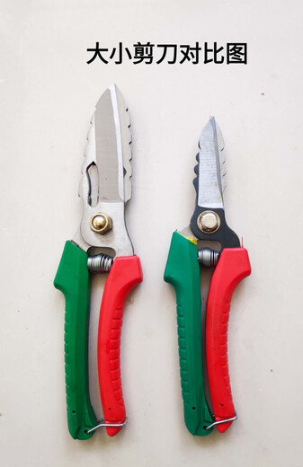 Garlic scissors for cutting garlic stems, fruit picking scissors for processing, garlic scissors, scissors DA2