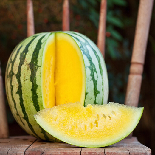 Shouhe Yellow Flesh Watermelon Seeds Yellow Heart Gift Type Yellow Flesh Shouguang Melon Winter and Spring Home Garden Melon Seeds Yellow Flesh Xiaolan Watermelon Seeds 10 capsules x 3 packs