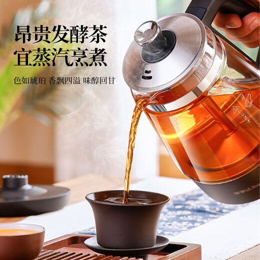 Royalstar tea kettle, health kettle, spray type kettle, kettle, electric kettle, steaming tea kettle, tea steaming kettle, tea kettle, stove, 1L 99% recommended - high-end thermal insulation model, explosion-proof kettle body