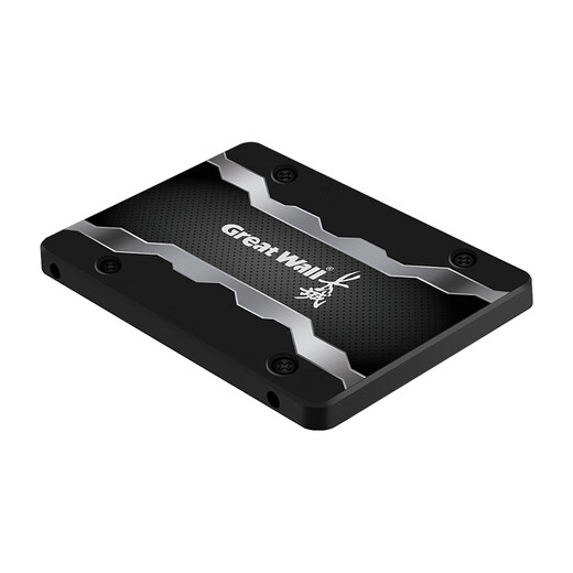 长城（Great Wall）512GB SSD固态硬盘 SATA3.0接口高速读写独立缓存 GW600S系列 读速560MB/S