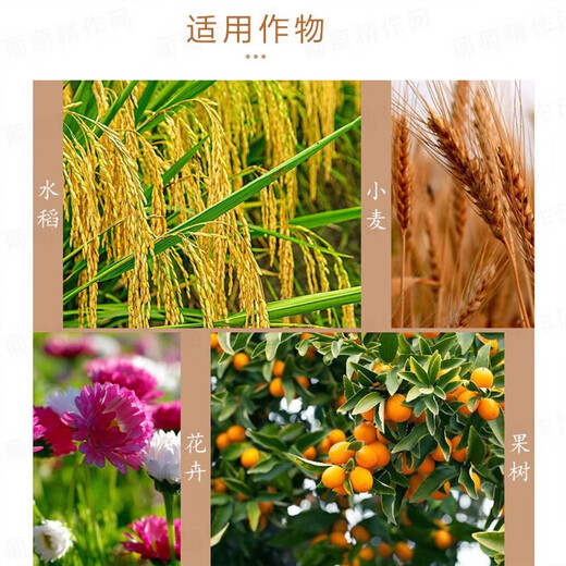 Guoguang 15% paclobutrazol succulent prevents leggy growth and promotes root development Chlormequat fruit tree growth regulator 1000g (10 bags in the box)