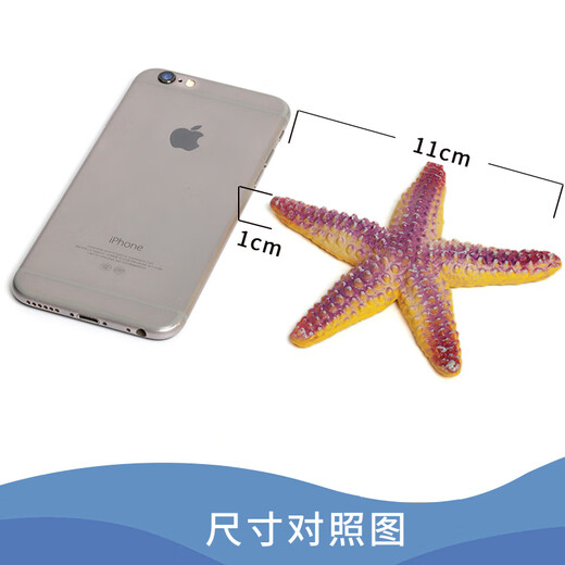 MECHILE Marine Animal Model Set Toys Simulation Biology Blue Whale Crab Starfish Sea Horse Anemone Jellyfish Otter Lobster Starfish