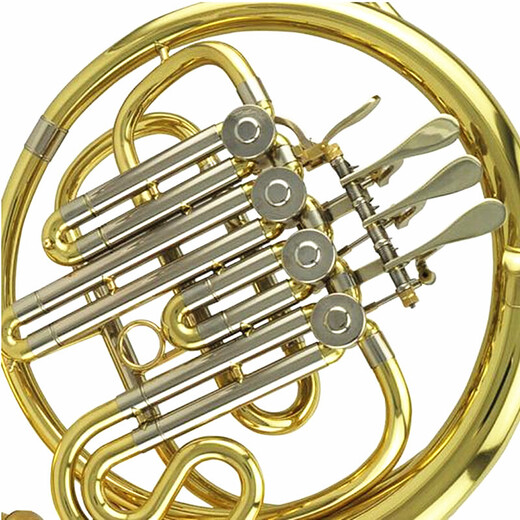 Xinghai (XINGHAI INSTRUMENT) horn Western musical instrument B-flat horn horn can be detached horn four buttons B-flat horn/F double row horn XFH-300 model (double row horn + double number mouth)