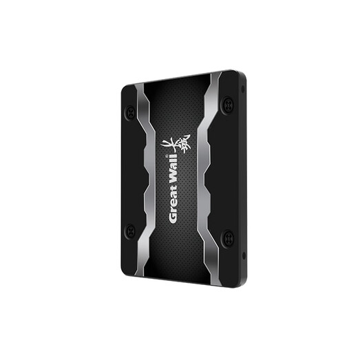 长城（Great Wall）512GB SSD固态硬盘 SATA3.0接口高速读写独立缓存 GW600S系列 读速560MB/S