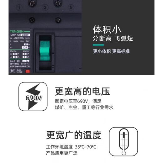 天正电气TENGENTGM1N 塑壳断路器总闸开关100A12250A400A63 TGM1N-630L/3300630A(小体积)