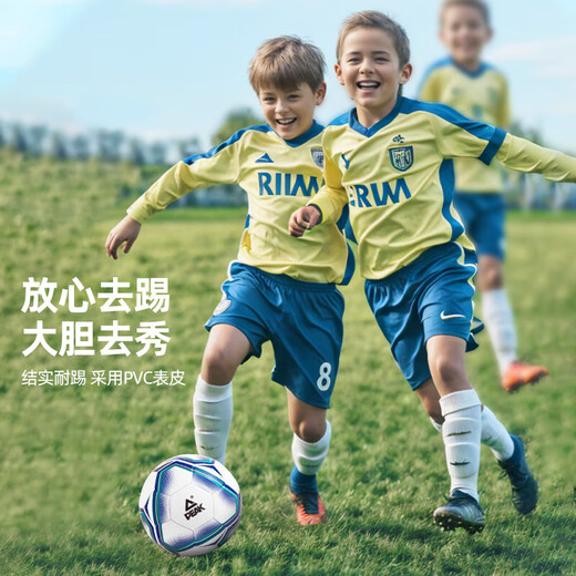 Pickleball No. 4 Children's Adult High School Entrance Examination Standard World Cup Competition Training Teenagers Primary School Toddlers No. 4 Ball