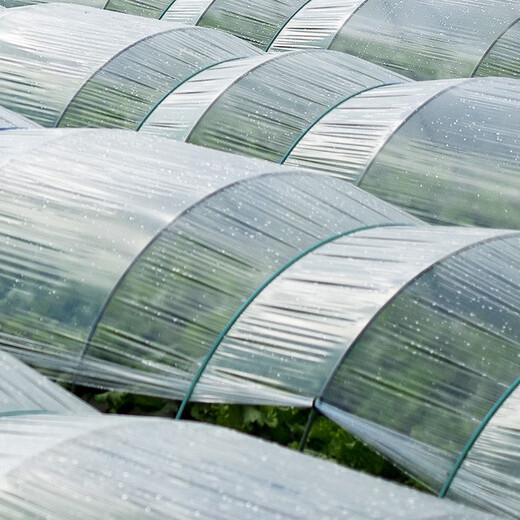 Litian white plastic film, small shed film plastic, thermal insulation and moisturizing vegetable greenhouse film, mulching film, waterproof plastic film, 4 wires thick, 4 meters wide and 10 meters long