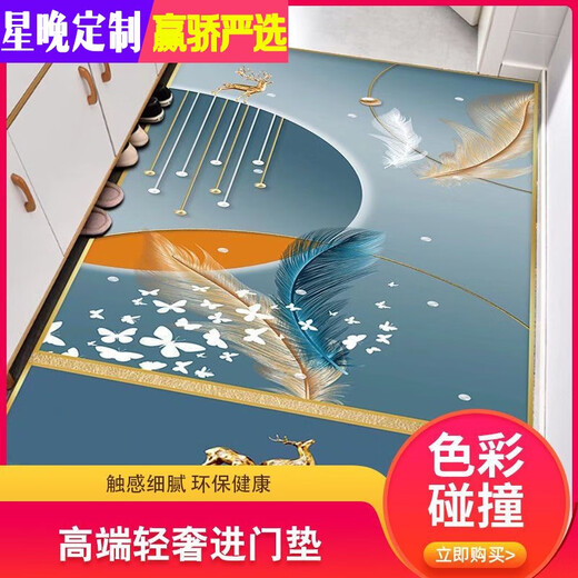 Xingwan high-end light luxury door mat living room mat door non-slip foot mat bedroom coffee table mat study simple mat can be customized New picture-1 200 width X 300 length (cm)