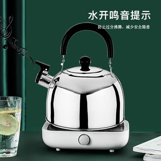 Runhuanian travel home 2L3L4L kettle stainless steel flat bottom sound kettle induction cooker gas stove universal and durable 3000ml