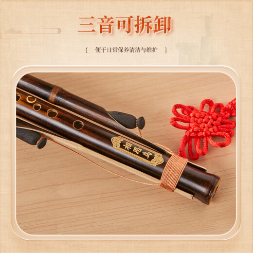 相思鸟葫芦丝降B调天然葫芦紫竹管胶塞款初学者儿童小学生乐器