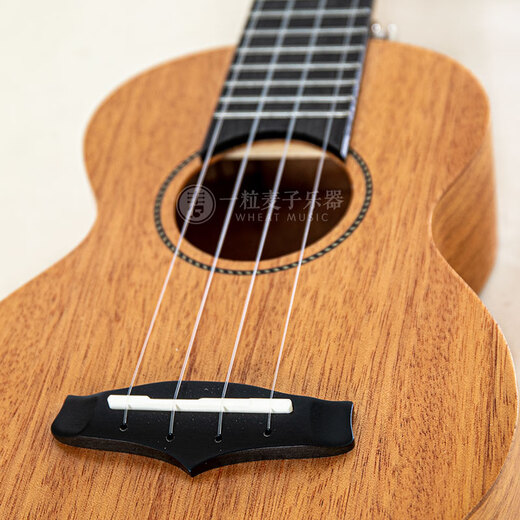 KAKA Enyakaka 25D veneer ukulele mahogany Uklili beginner boys and girls children small guitar 21 inch KUS-25D wood color
