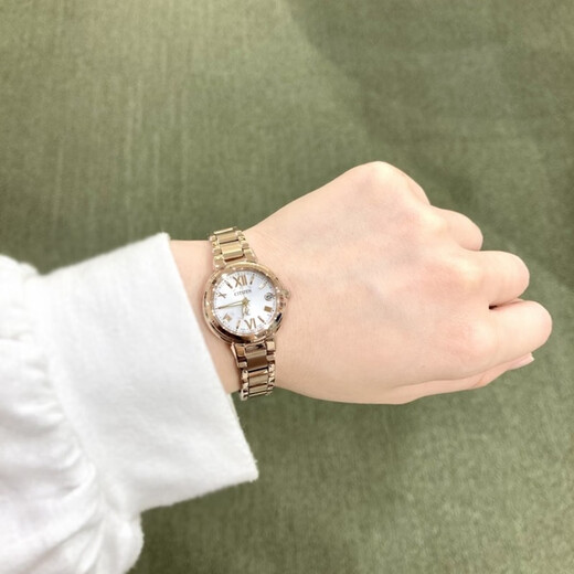 西铁城（CITIZEN）XC系列太阳能机芯 蓝宝石玻璃 不锈钢材质时尚美丽气质女款手表 ES9435-51A（表芯：H060）