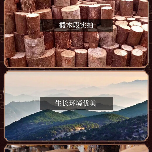 长白山有机灵芝孢子粉有机认证头道孢子粉250克500克1000克 高品质灵芝孢子粉【1000克】