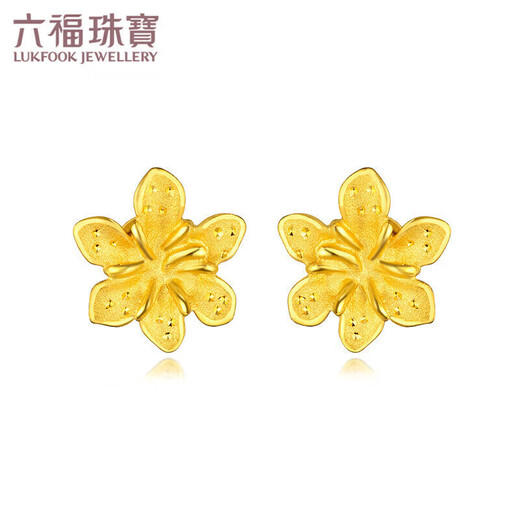 Luk Fu -Schmuck, Fußgoldgoldohrringe Fußgold goldene Ohrringe, preislich ca. 0,97 g - mit Silikonohrstöpsel