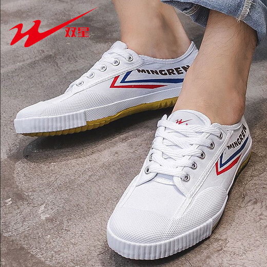Double Star Bate running shoes, track and field training shoes, special physical examination shoes for high school entrance examination, men and women's morning practice Tai Chi martial arts shoes, canvas white shoes, white 42