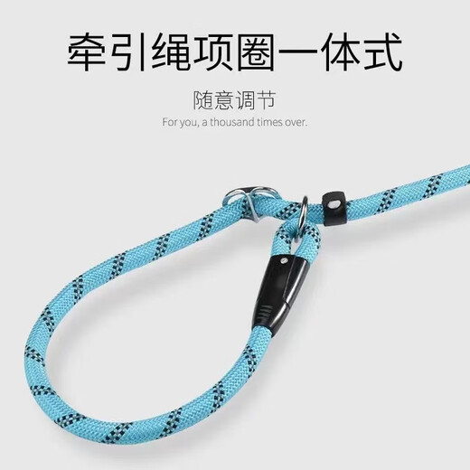 Dog leash explosion-proof p-chain Golden Retriever Teddy adjustable dog leash small, medium and large dog walking leash 1.2cm (large dogs) dark black 3 meters