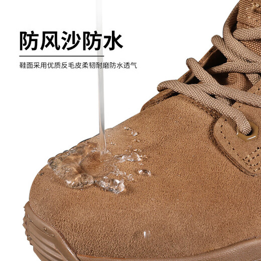多威 DO-Win官网正版棕色作战靴男耐磨侧拉链训练夏季户外登山鞋沙漠靴新式 多威原厂 41