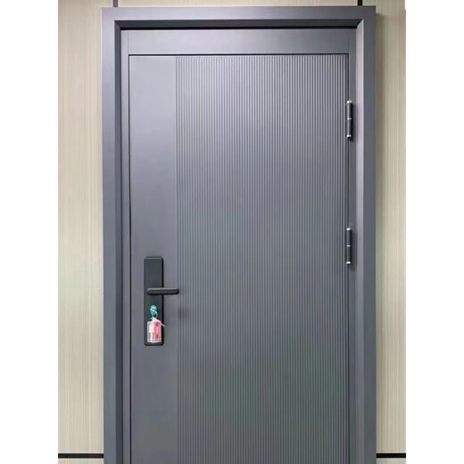 维诺亚家用入户防盗门子母门单门入户门防晒大门工程出租屋门双开门加高 1970*860【外/内开联系客服】 不包安装/物流自提