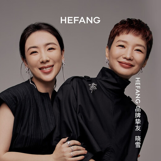 HEFANG He Fang Jewelry Ribbon Chuxue Brooch Silver Pin Light Luxury High-end Birthday Gift for Girlfriend Silver