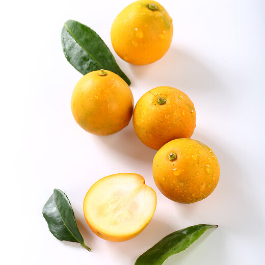 京觅广西融安第二代脆皮金桔 5号果-彩盒3斤装 单果10g+ 源头直发