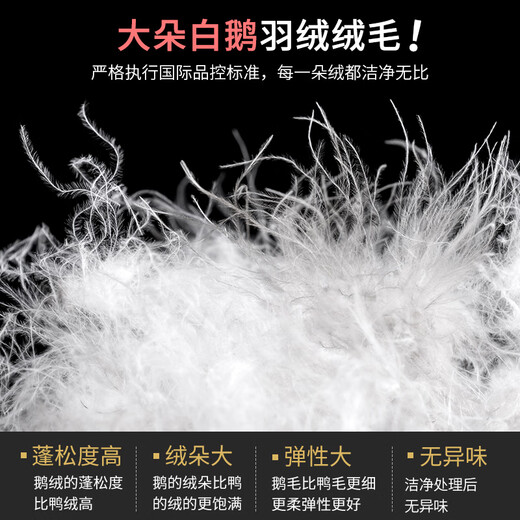 Flying in the Snow Down Pants Women's Outerwear Straight Fit Middle-aged and Elderly Mothers Winter Thickened High-Waist Large Size Northeastern Warm Goose Down Cotton Pants Full Pants White Goose Down - Warm and Not Bulky - Black L 110-130Jin Jin is equal to 0.5 kg