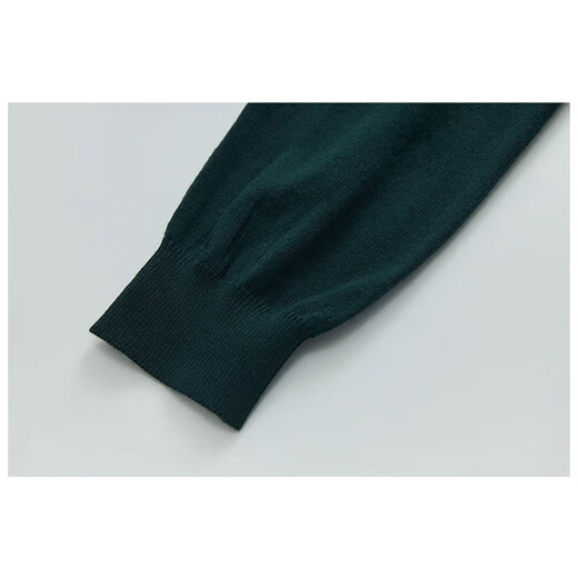[Jijia] Winter warm and thick 100% pure wool cardigan men's zipper knit sweater jacket Green 175/L
