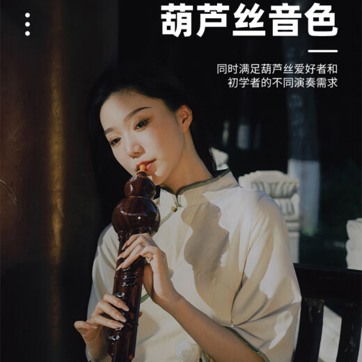 Chinas Reim elektrischer Hulusi -Musikinstrumente Hausinstrumente elektronischer Blasrohr Hulusi elektronischer Flöte Elektrische SA -Anfänger -Musikinstrumente Honghuapei