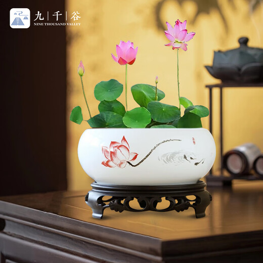 Jiuqianggu Céramique Pot de fleur narcisse bassin eau Lily bol lotus cuivre herbe hydroponique hydroponique fleurs d'élevage de fleurs de fleurs vertes pot avec base 3888
