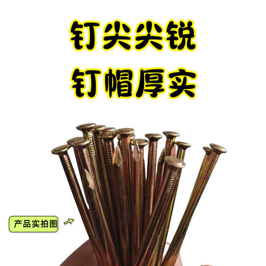 Vinoa High-Strength Cement Nails Woodworking Steel Nails Household Hard Nails High-Strength Painting Special Nails Concrete Steel Nails Silver-2cm (Sample 1)