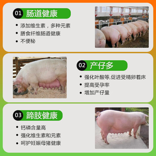 East China Zhengda 4% Pregnant Sow Compound Premix Reproduction Reserve Pregnancy Period Milk Increase Pregnant Sow Special
