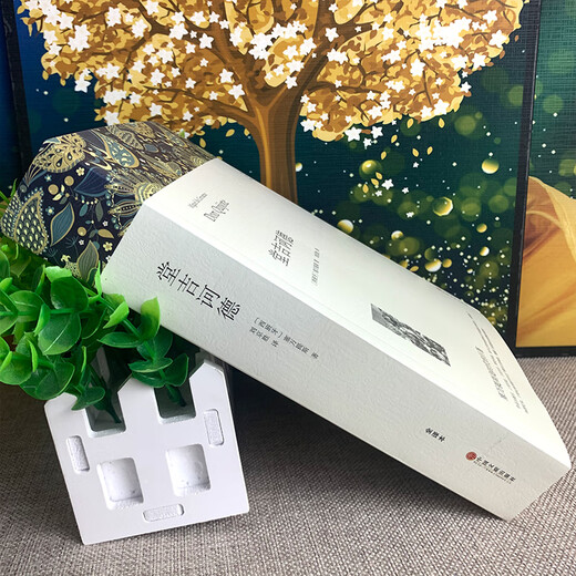 【无删减共838页59万字】堂吉诃德唐吉诃德堂吉柯德唐吉诃徳柯德坷德珂德科德堂.吉歌德世界名著正版原著包邮中文版书高中生无删减塞万提斯堂·吉wp