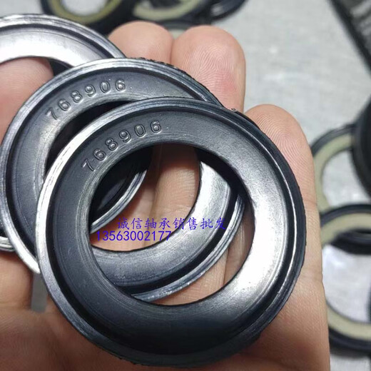 Staubschutz-Dichtungsdichtung 768906 30203 32004 Serie Kegelrollenlager, nicht standardmäßige Teile 11949 Staubschutz 10 Stück