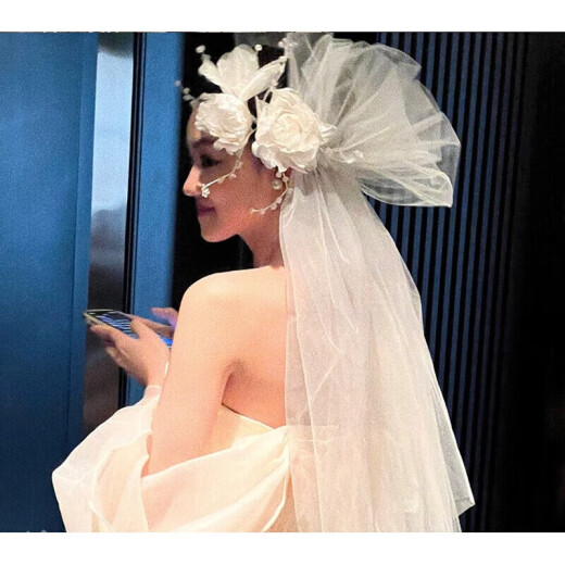 Die Can Bride Wedding Retro Puffing Flower Headdress Wedding Dress Accessories Super Fairy Temperament Long Veil Wedding 100cm