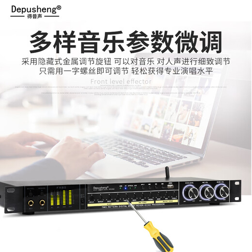 Depusheng REV3900 KTV pre-amp effector with rechargeable wireless microphone for home karaoke singing TV reverberator box commercial anti-howling audio processing USB fiber optic Bluetooth REV3900 without handheld