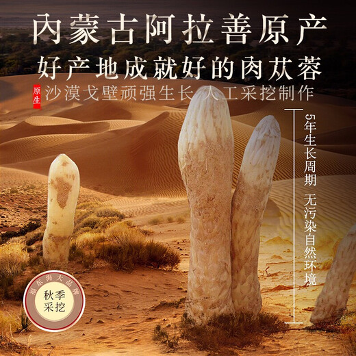 福东海 肉苁蓉100克罐装 内蒙古阿拉善大芸鲜干片 可搭配淫羊藿泡酒料