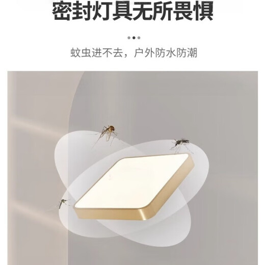 禾灵全铜户外吸顶灯别墅入户门门前灯过道阳台防水家用防虫方形露台灯 X3893/大号50cm/三色可调