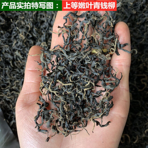 Hua Tuo Shiyi Qingqian Liu Tee Medizinische Materialien 23 Jahre neuer Tee sind für den Markt für wildgrüne Qian Liu Tea 70 g 500 g Antike Baum zarte Blätter Golden Qian Liu Tee 70 g (70 g*1 Can) erhältlich